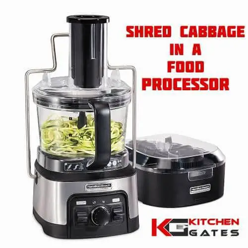 Can you shred cabbage in a food processor
